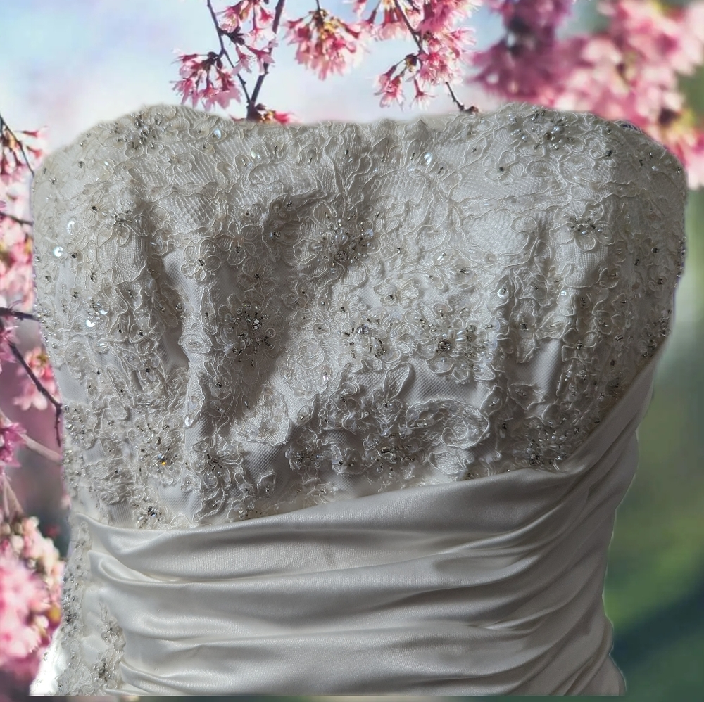 Wedding dresses - Picture 4 of 11